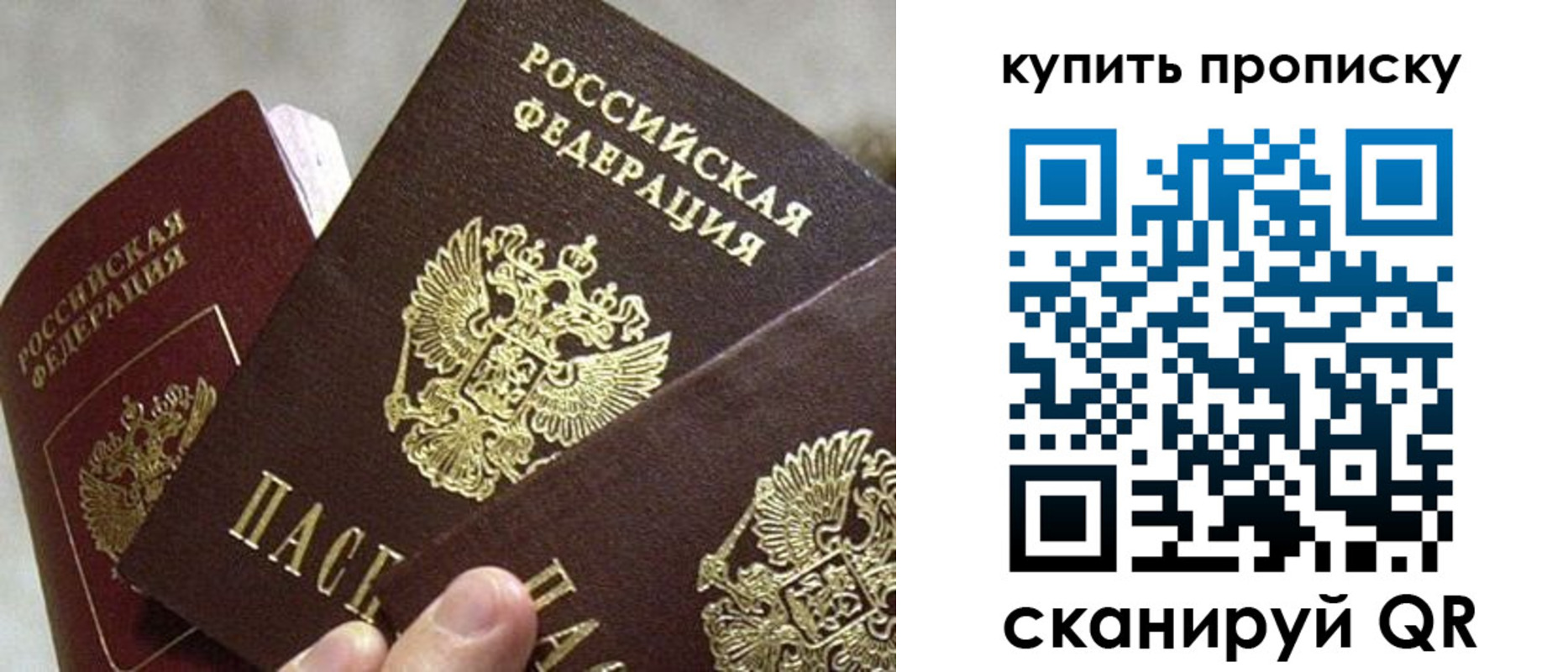 прописка для школы в Волгограде